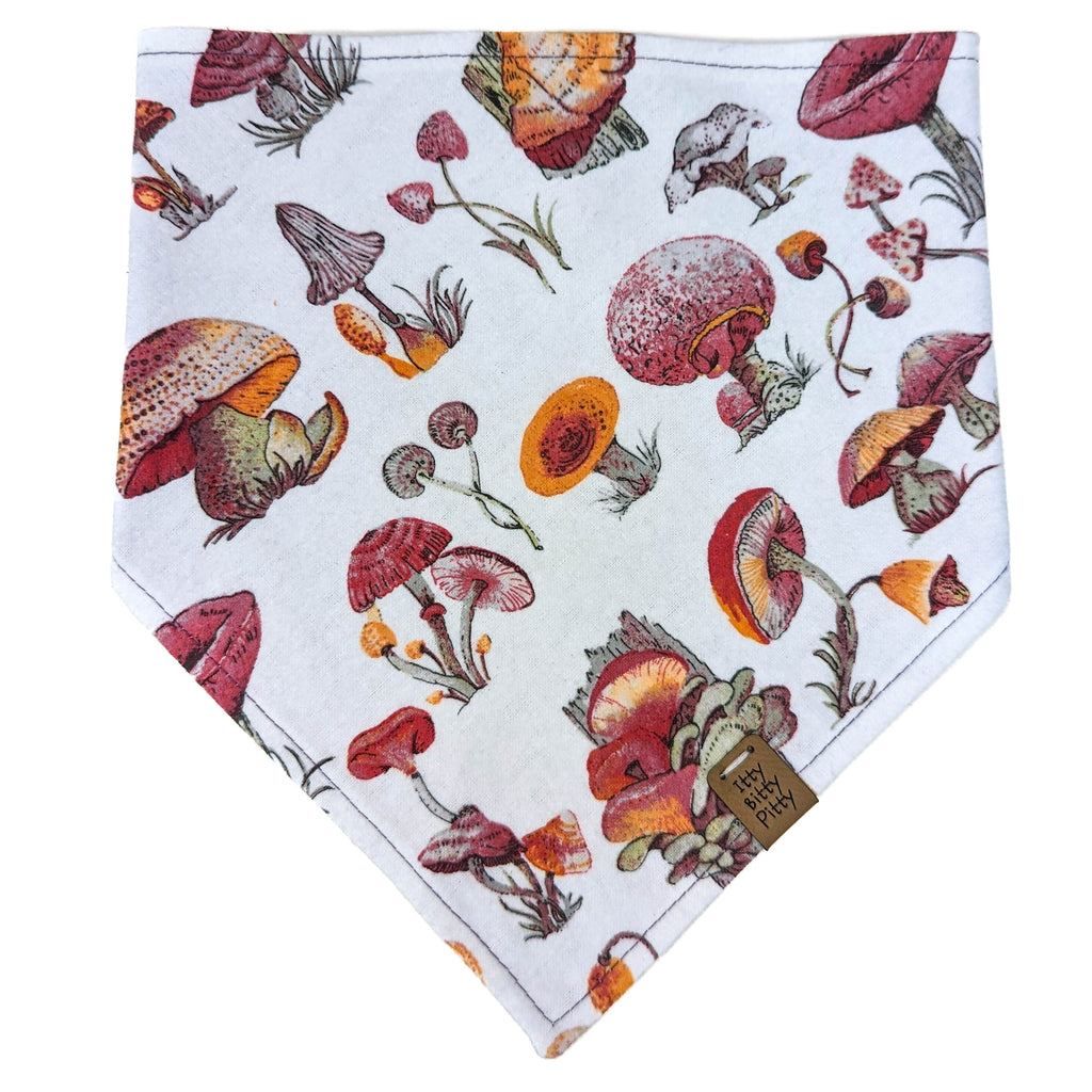 Toadstool Tales Pet Bandana