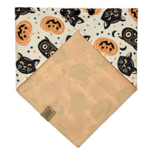 Load image into Gallery viewer, Halloween Owls Pet Bandana
