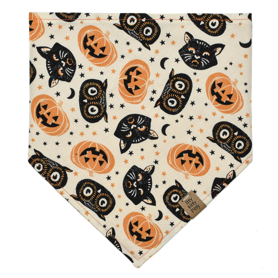 Halloween Owls Pet Bandana