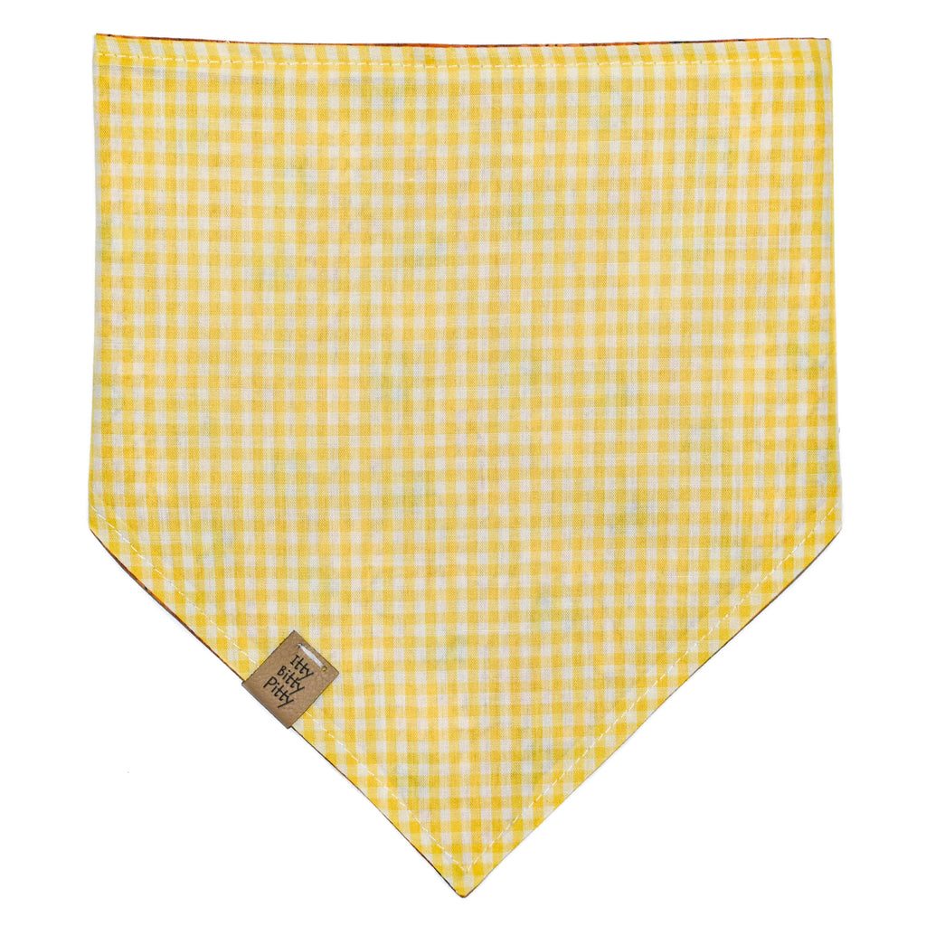 Acorn Pet Bandana