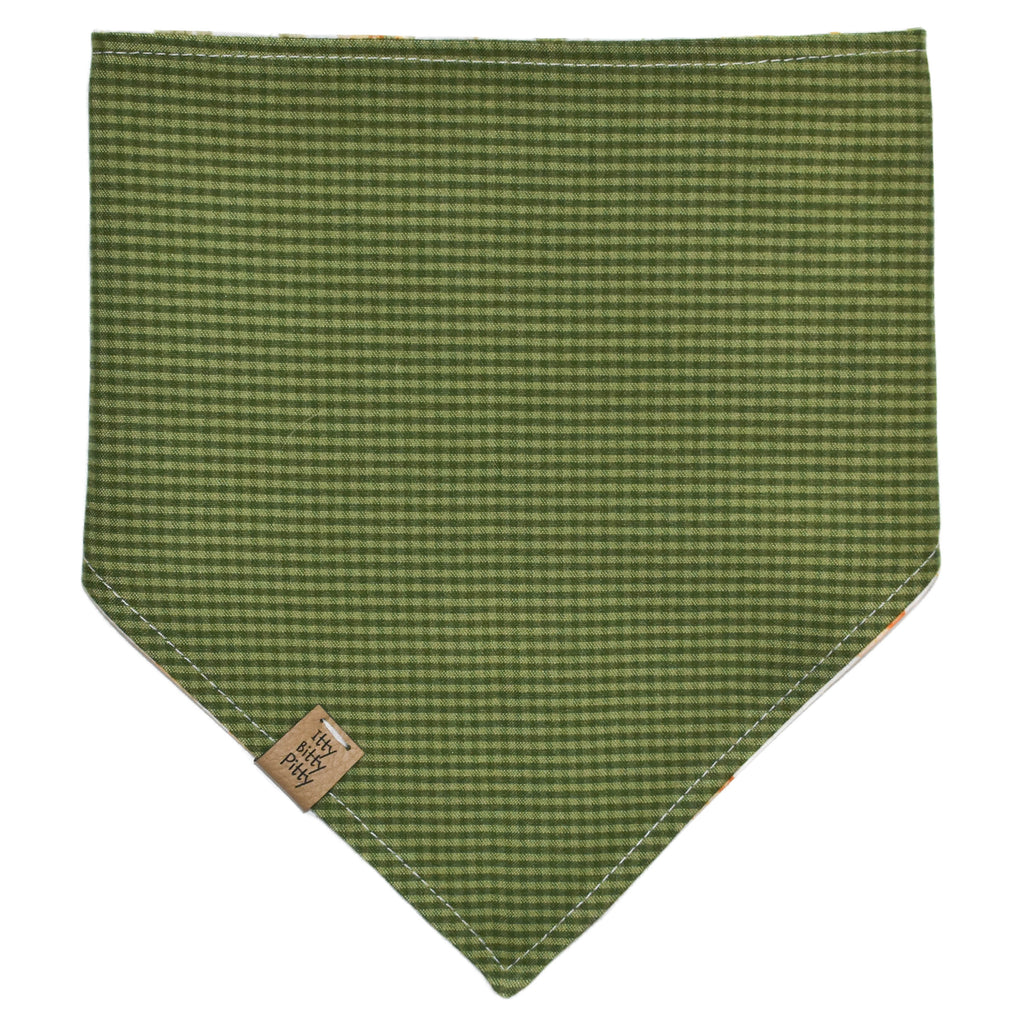 Autumn Pumpkins Pet Bandana