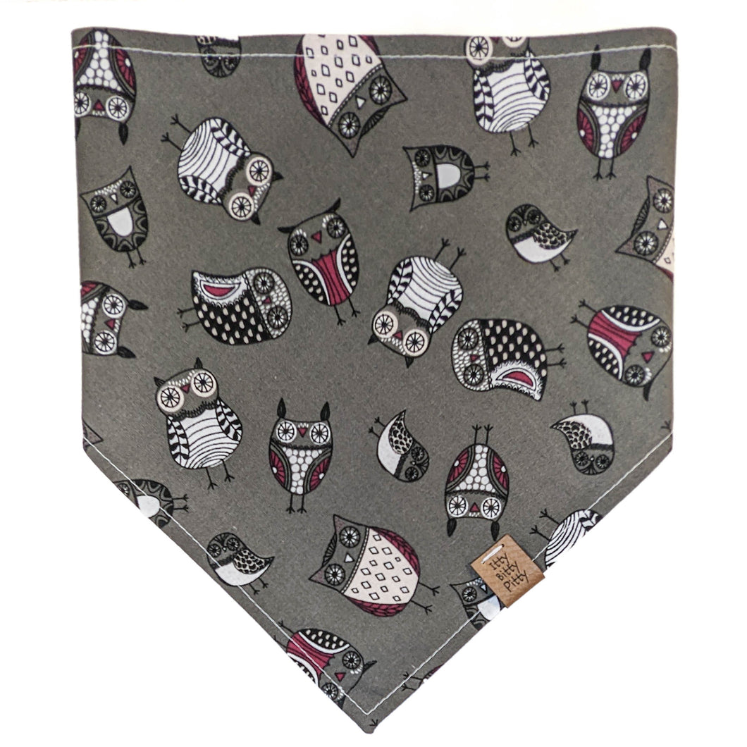 Hoo Hoollaween Pet Bandana