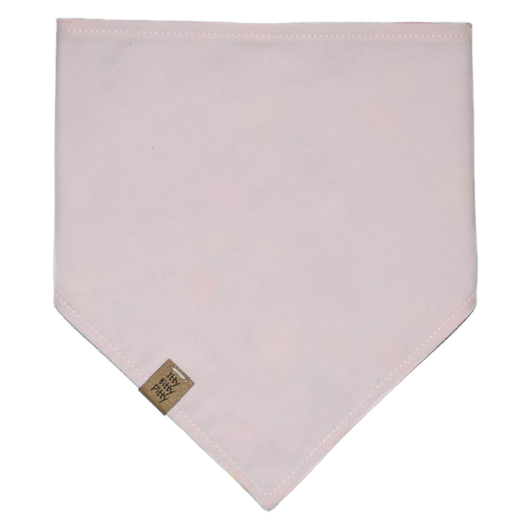 Rainbow Narwhals Pet Bandana