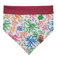 Load image into Gallery viewer, Octopus&#39;s Garden Pet Bandana
